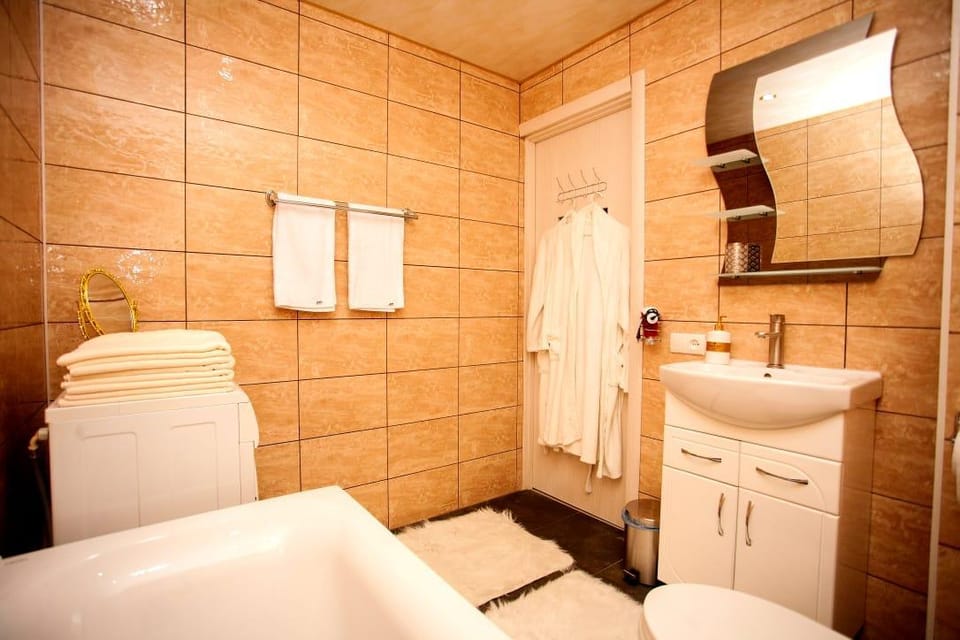 Comfortable elite apartments in Poltava, Almazniy Apartment in Ukraine