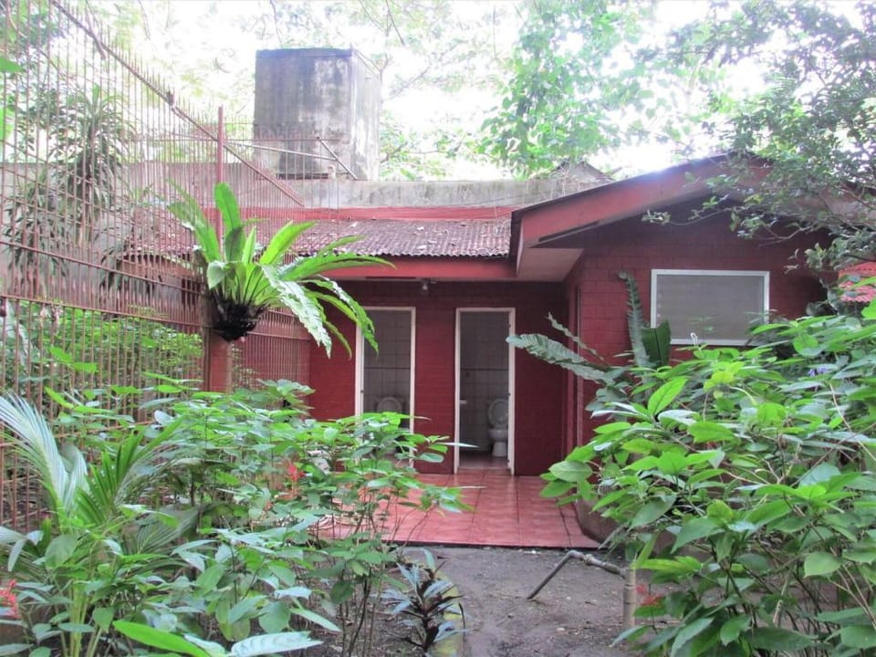 NEWLY RENOVATED!!! Felipa Beach - Bird of Paradise Apartment in Dumaguete