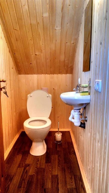 Cottage Ozerniy Vacation rental in Romania