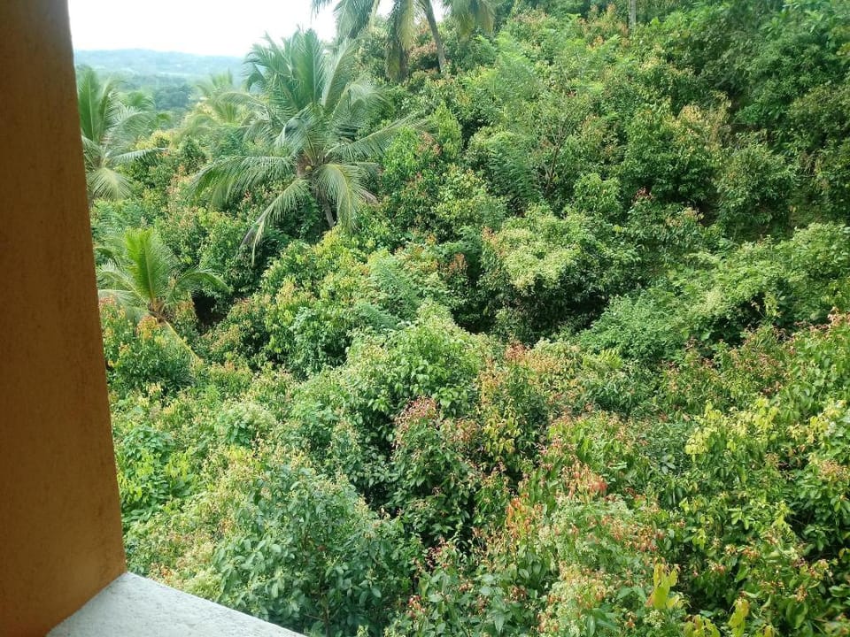 Cinnamon Leaf villa Villa in Southern Province