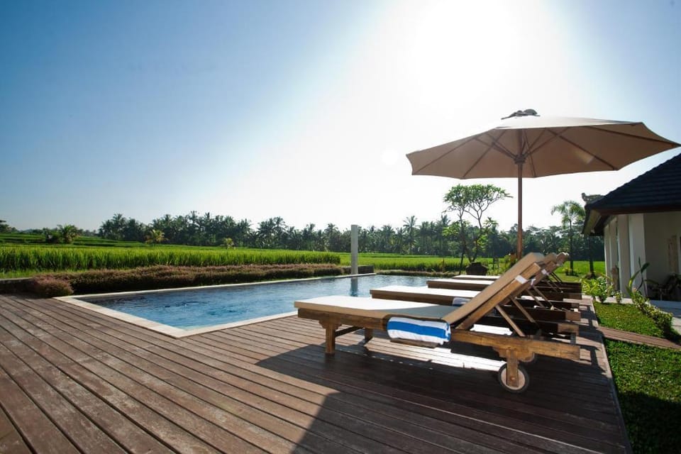 Stunning Deluxe Room W/Share Pool #K49 Apartment in Ubud
