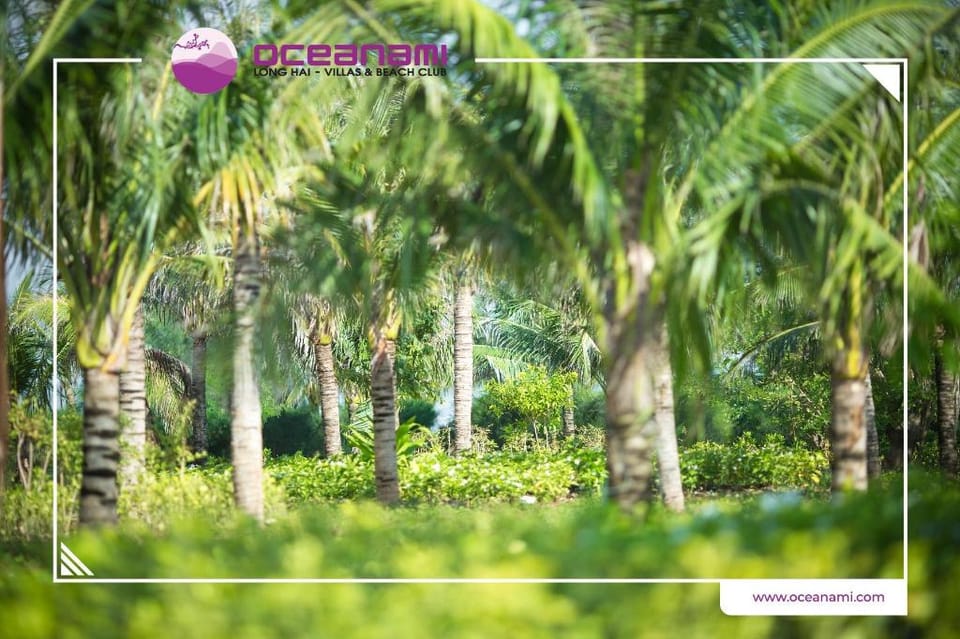 OCEANAMI VILLAS MINH TAM Villa in Ba Ria - Vung Tau