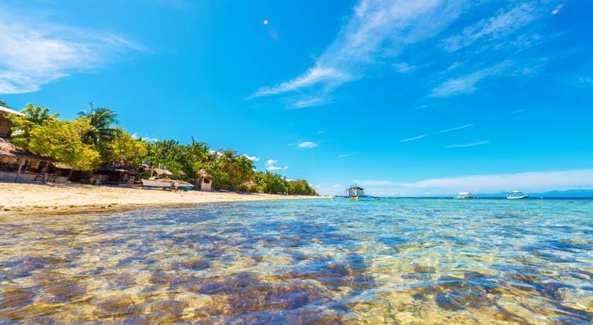 Native House Resort powered by Cocotel Resort in Central Visayas