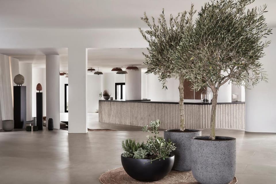 Orama Hotel & Spa Hotel in Thera