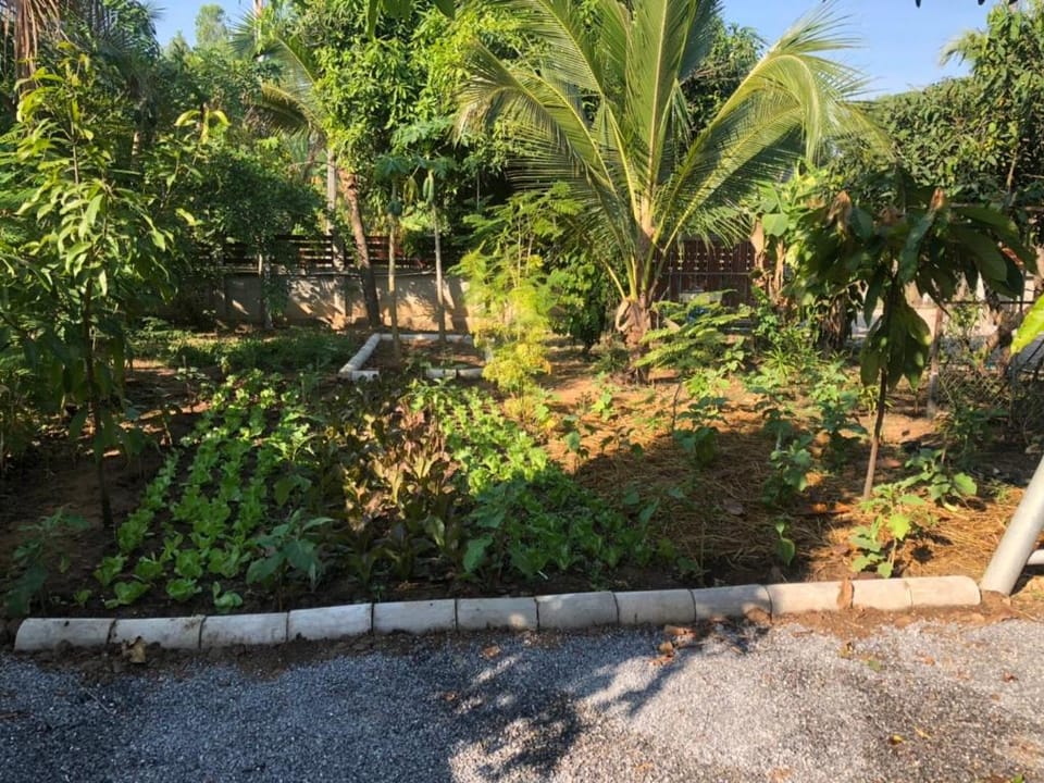 house for rent 2nd  Vacation rental in Thailand