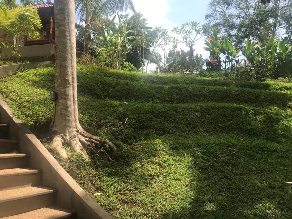 Pondok Retreat Vacation rental in Bali