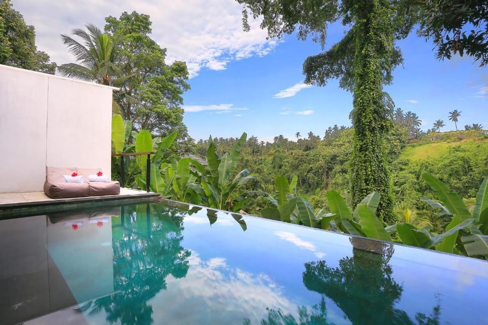 Stunning 1 BR Valley Pool Villa #K116 Villa in Ubud
