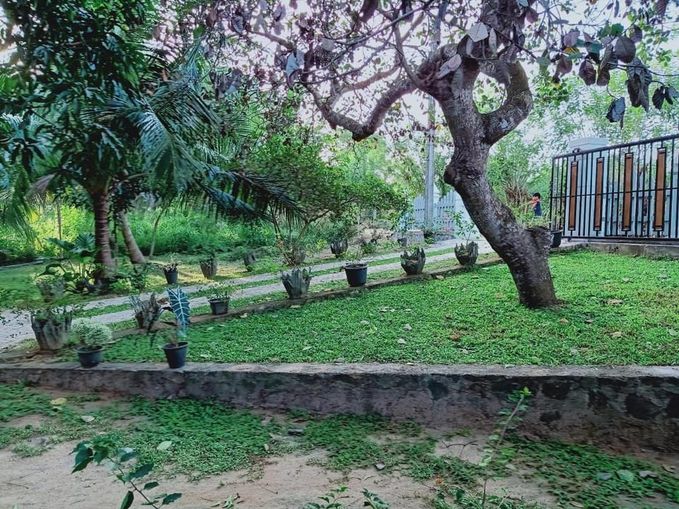   Cashew Garden - Tangalle, Sri Lanka Vacation rental in Southern Province