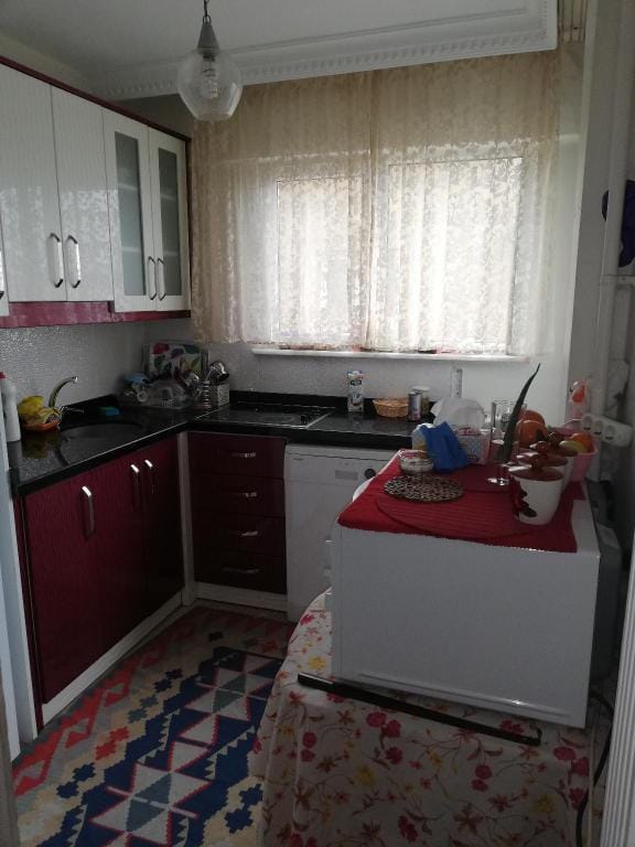 Lake view flat with all furniture Apartment in Istanbul