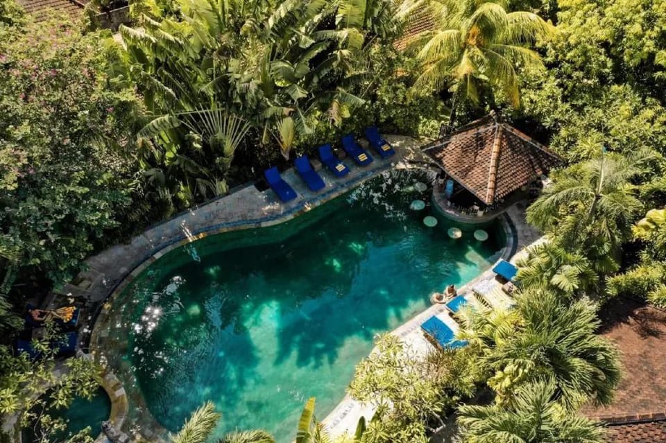Amazing 1 BR Deluxe Pool View Seminyak NE80A Villa in North Kuta