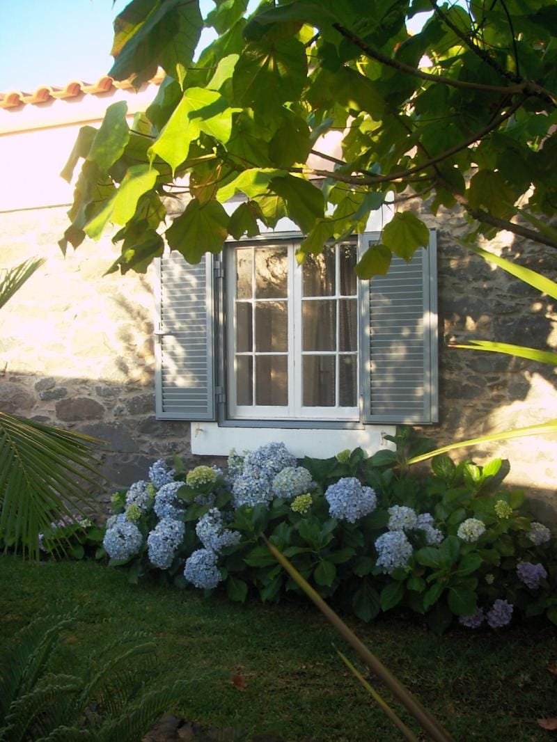 Casa do Poco - Villa with pool and garden Funchal Vacation rental in Funchal