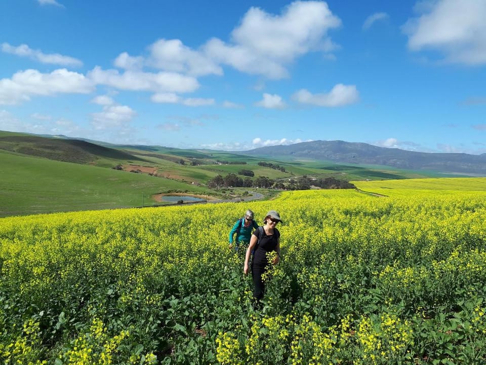 Farm holiday accommodation Vacation rental in Western Cape