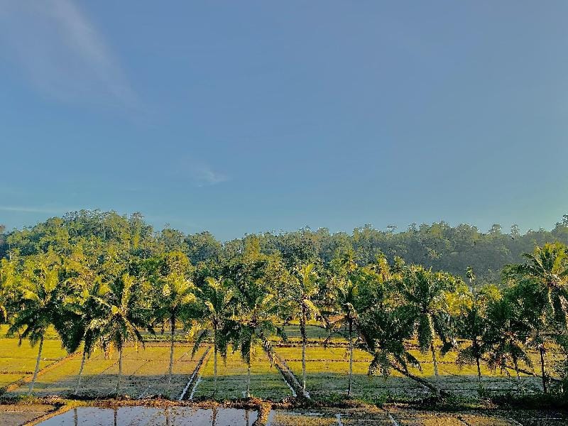 Olu Villa, Galle - Tropical Village Life Vacation rental in Southern Province