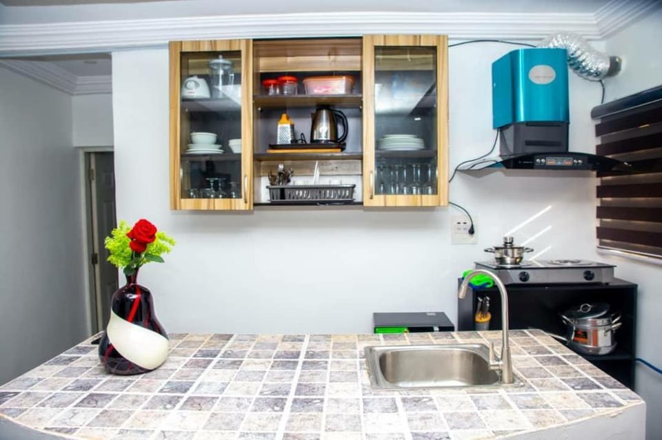 The Mayfair Serviced Apartment, Maitama, Abuja. Apartment in Abuja