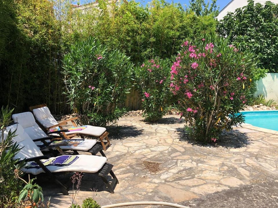 Apartment in villa, big garden and pool, sea close Apartment in Zadar
