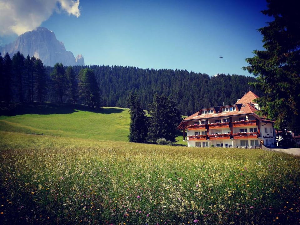 Residence La Selva for Mountain Lovers with Pool Apartment in Sëlva