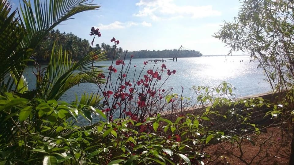 Ashirvad Homestay, Ashtamudi Lake, NON AC Villa in Kerala