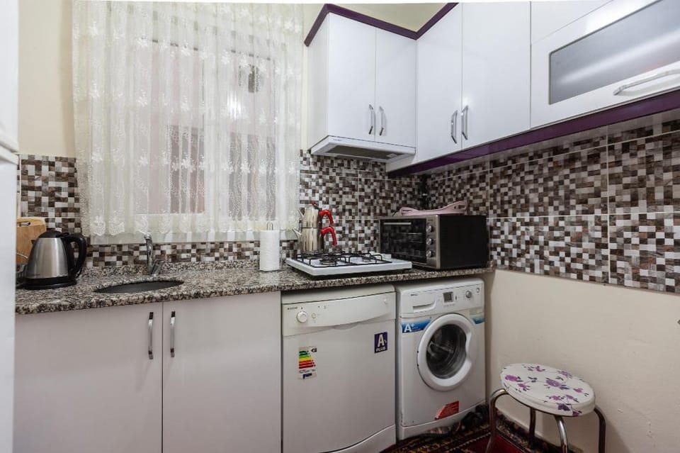 Large Family Flat near Blue Mosq Apartment in Istanbul