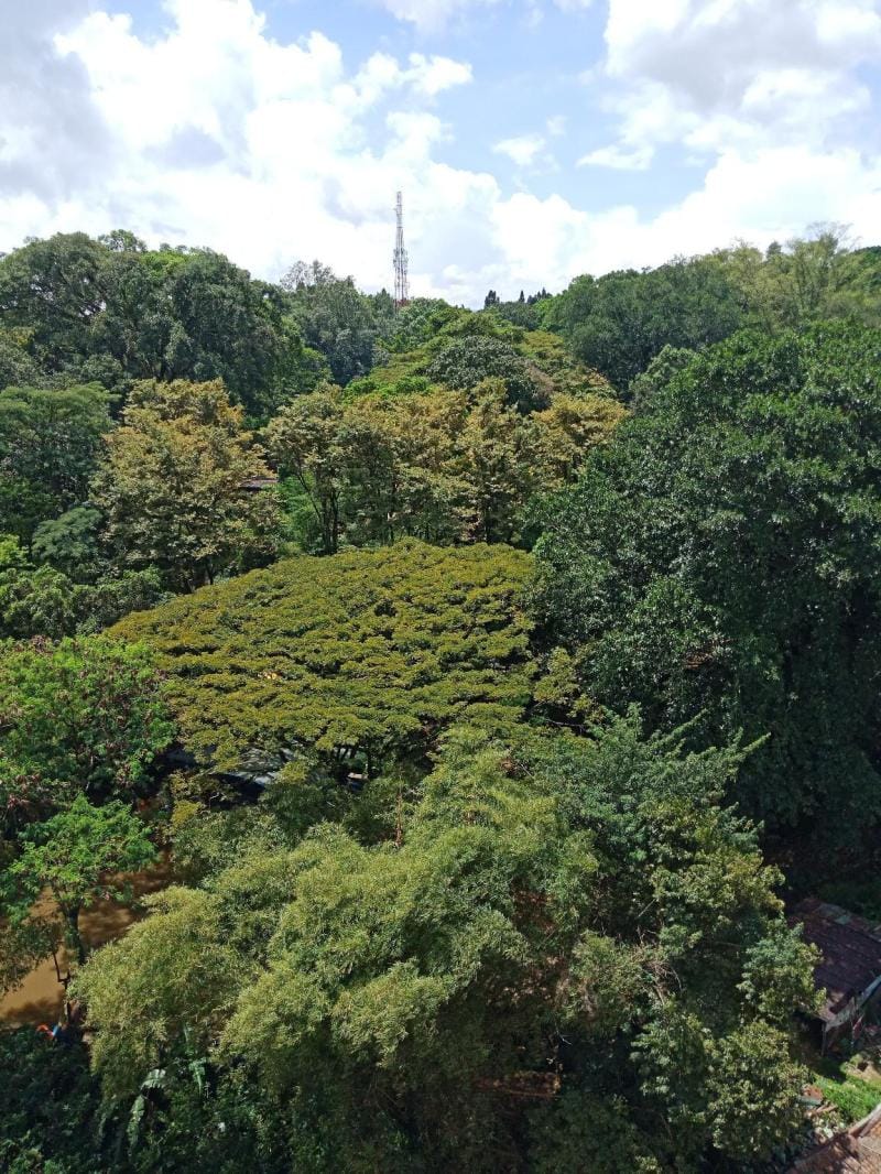 Dua kamar view zoo matahari pagi by green Apartment in Bandung