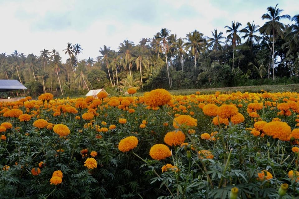 IGURU Homestay Vacation rental in Karangasem Regency