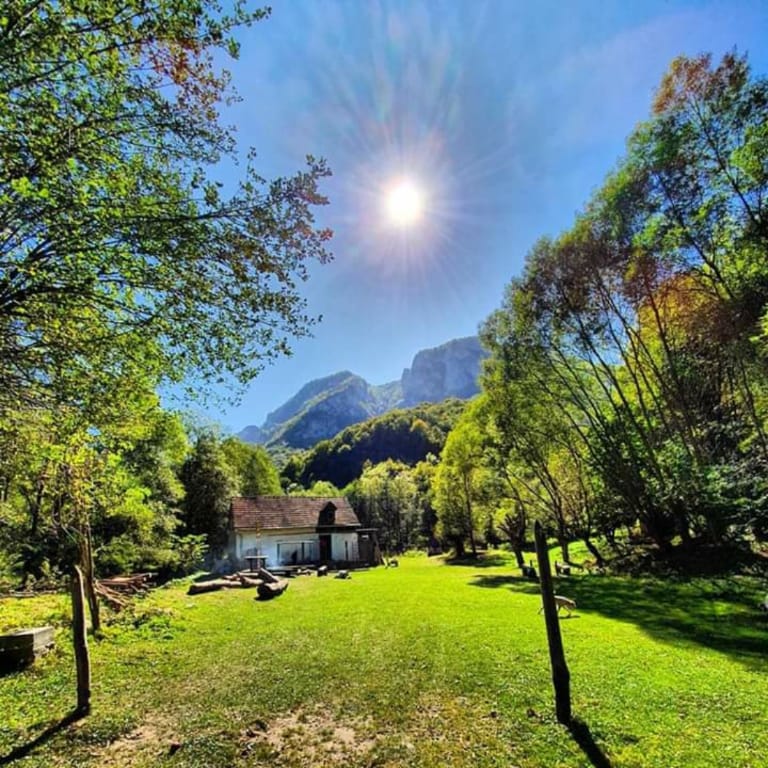 Cozy hut in the wild nature of Romania Vacation rental in Romania