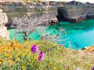 Casa vacanze venere centro storico Otranto, Salento 4 posti Vacation rental in Otranto