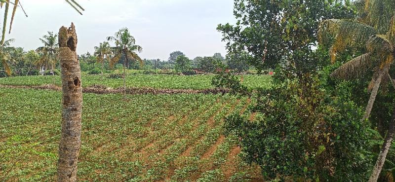 River Point Private villa( Conatct - 8301017000) Villa in Kochi