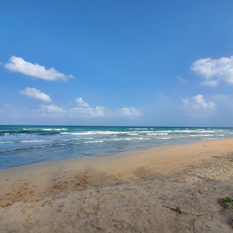 Oceanfront Condo by the Beach Apartment in Sri Lanka