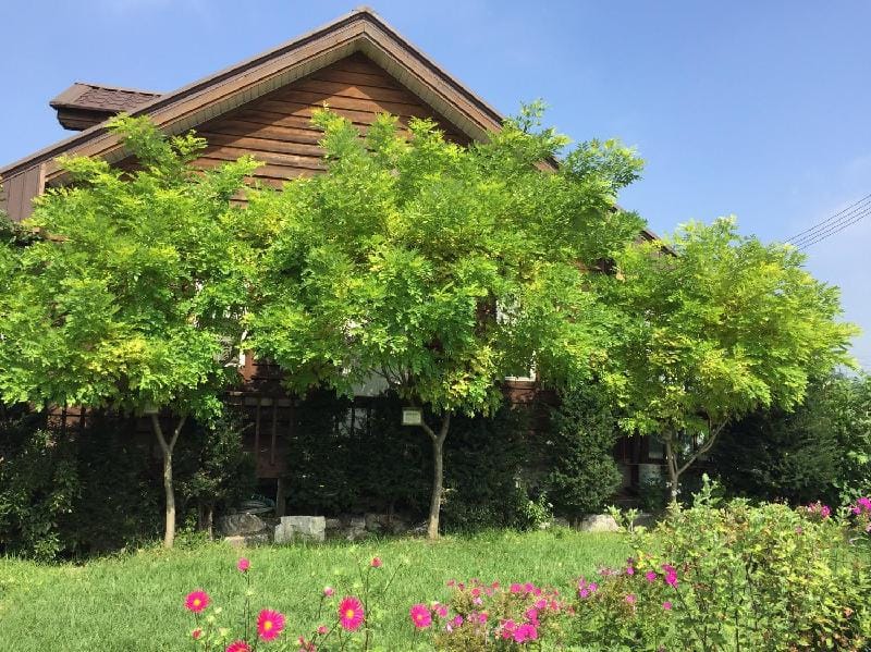 pajugamaksan pension(summer) Vacation rental in Gyeonggi-do