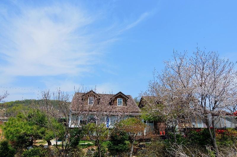 pajugamaksan pension(summer) Vacation rental in Gyeonggi-do