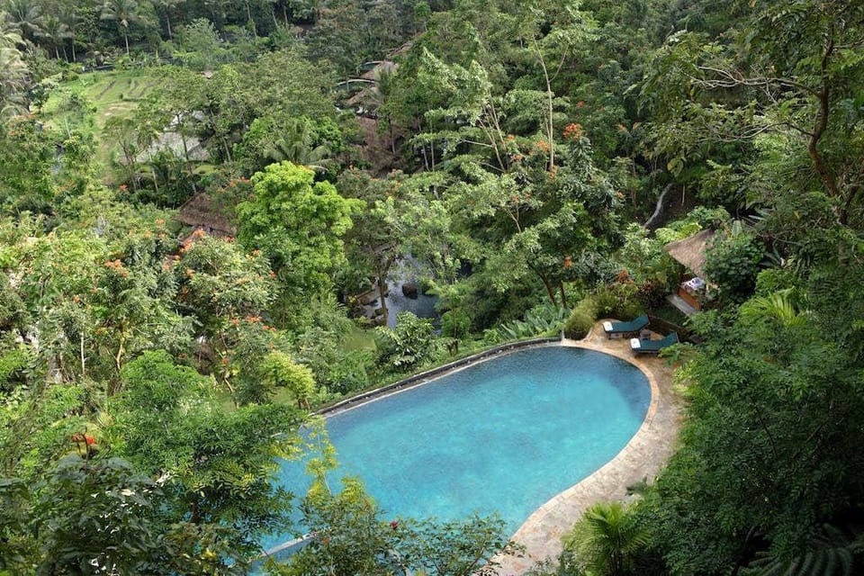 Entire 1 BR Deluxe Villa With Private Pool #DN38 Villa in Abiansemal