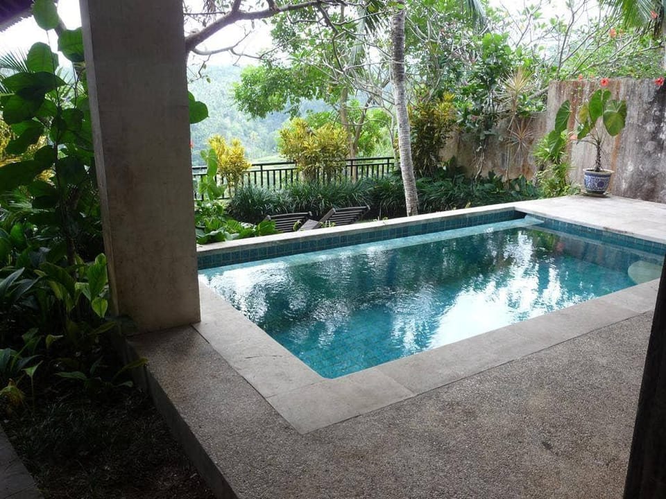 Entire 1 BR Agung Suite W/Plunge Pool Villa #L340 Villa in Payangan