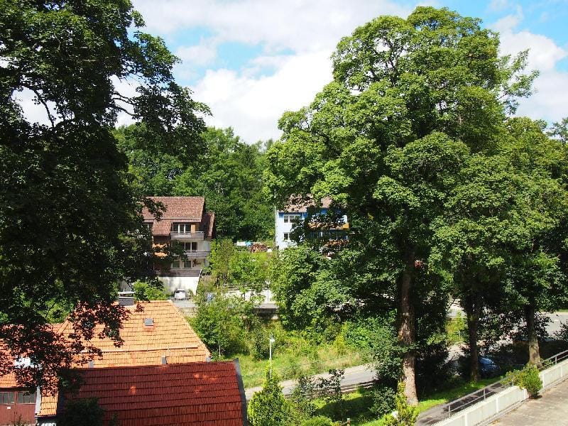 Apartment Harzgruen 2 Apartment in Lower Saxony, Germany