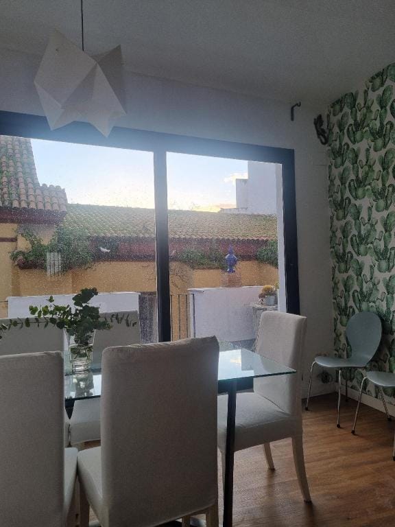 House Sevillana Apartment in Seville