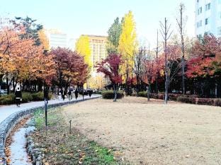 Sweet Memory#2 Hongdae Stn.5min /1BR Apt & Rooftop Vacation rental in Seoul