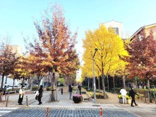 Sweet Memory#2 Hongdae Stn.5min /1BR Apt & Rooftop Vacation rental in Seoul