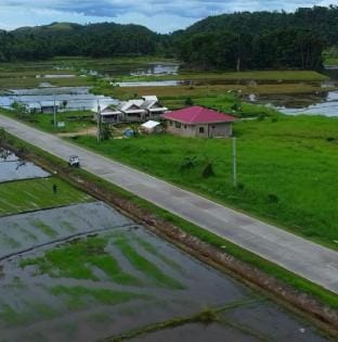 Jazz Ferme Inn Batuan Bohol Camper Chalet Villa in Central Visayas
