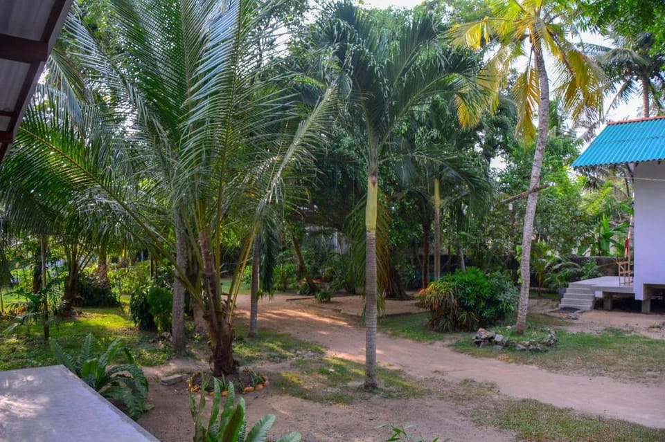 Neem Hikkaduwa-Calmness of a green garden near sea Villa in Hikkaduwa