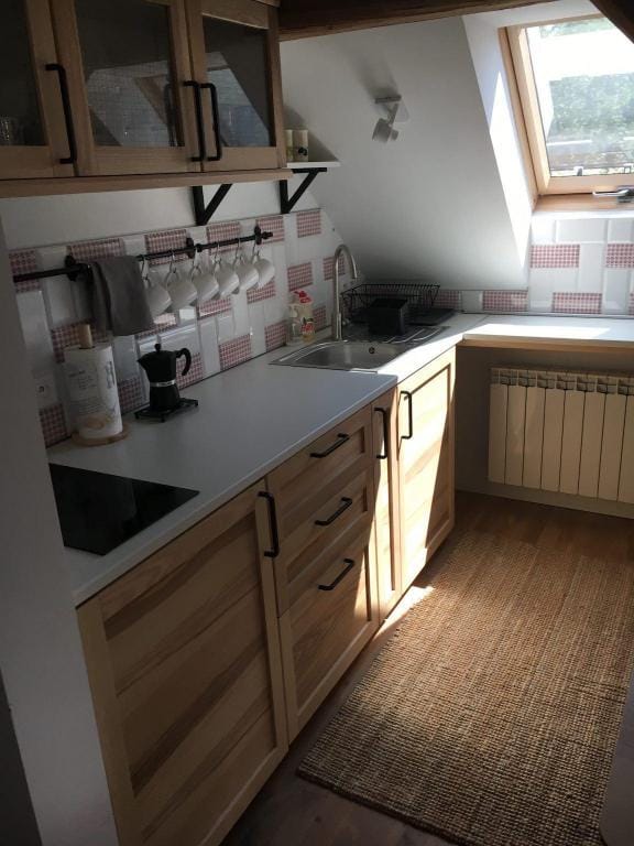 MINT HILL a cozy countryside house on a lake.  Apartment in Lower Silesian Voivodeship