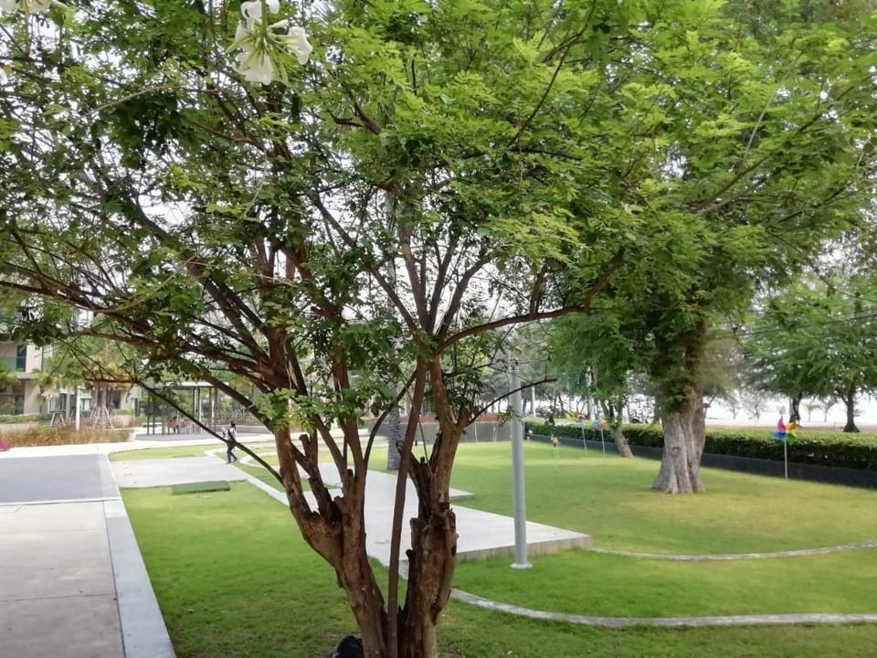 Lumpini Beach Park Cha-Am by Sirikarn Apartment in Thailand