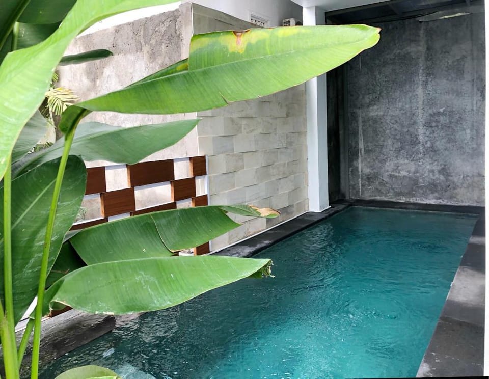 B&C Homes Denpasar Bali Villa in Sukawati