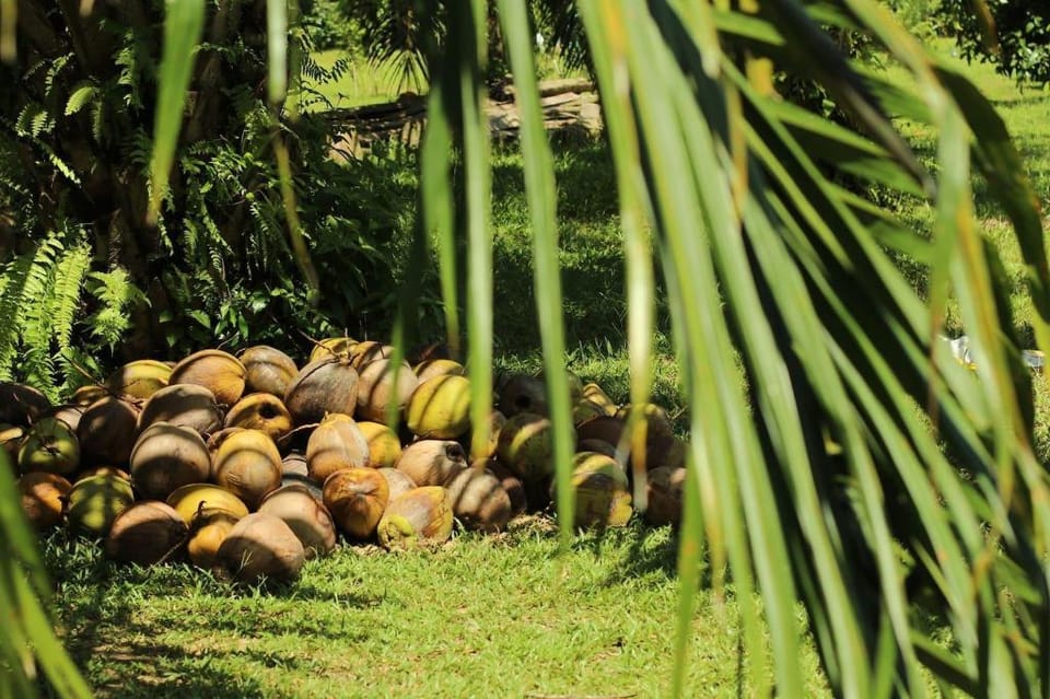 Kong Si Por Farm Stay Vacation rental in Phang-nga Changwat