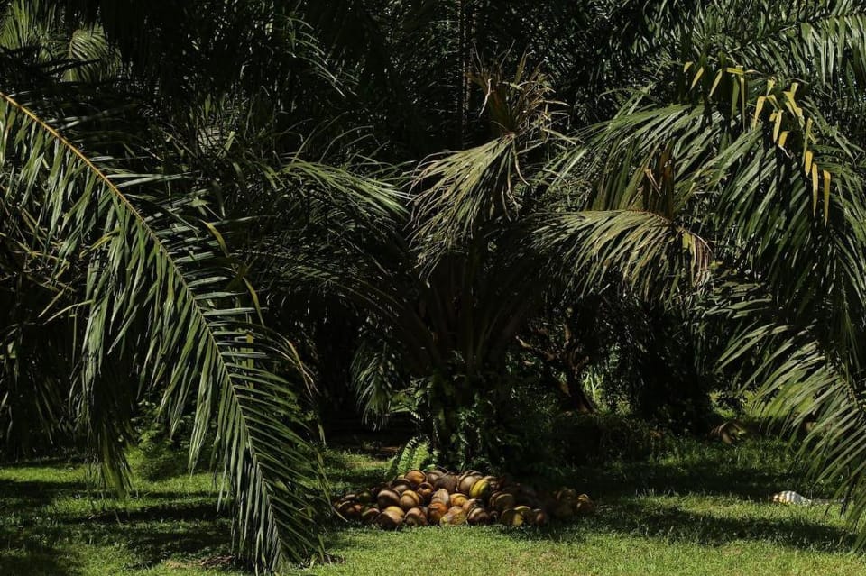Kong Si Por Farm Stay Vacation rental in Phang-nga Changwat