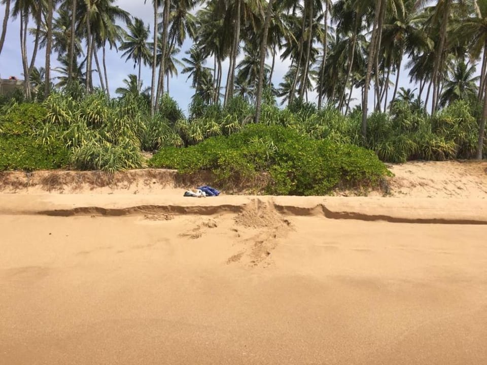 SAMAN FLAT AND ROOM, WONDERFUL WIDE BEACH Apartment in Southern Province