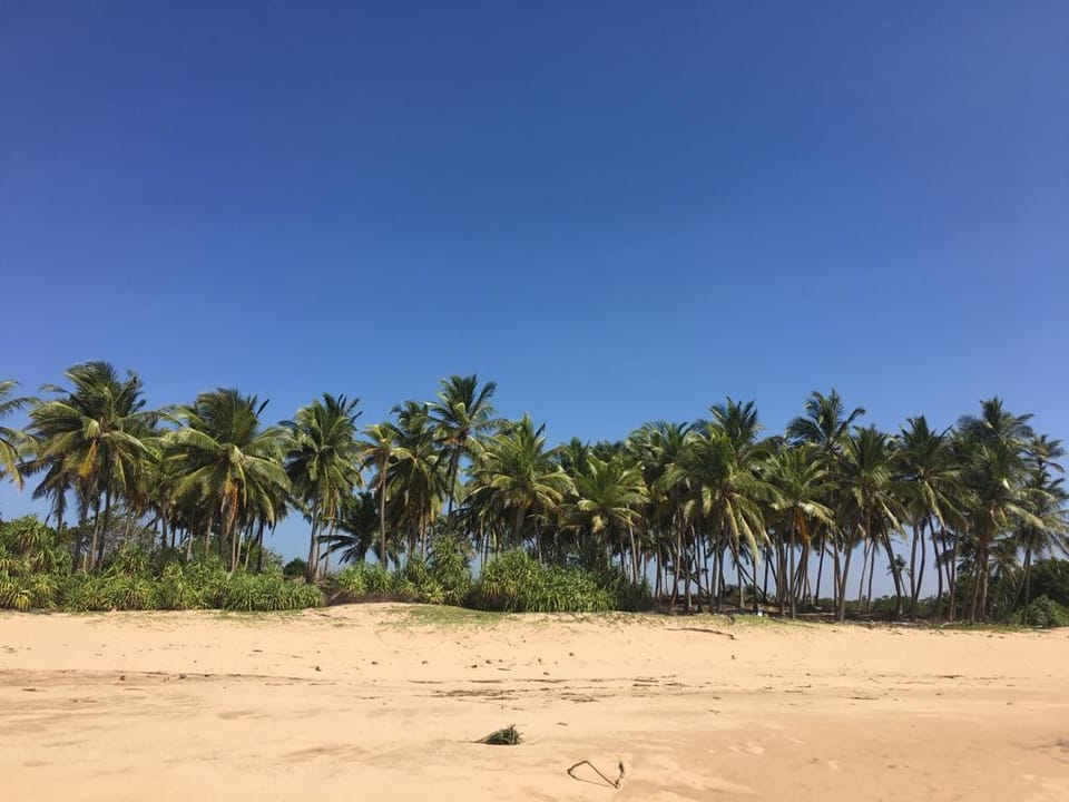 SAMAN FLAT AND ROOM, WONDERFUL WIDE BEACH Apartment in Southern Province