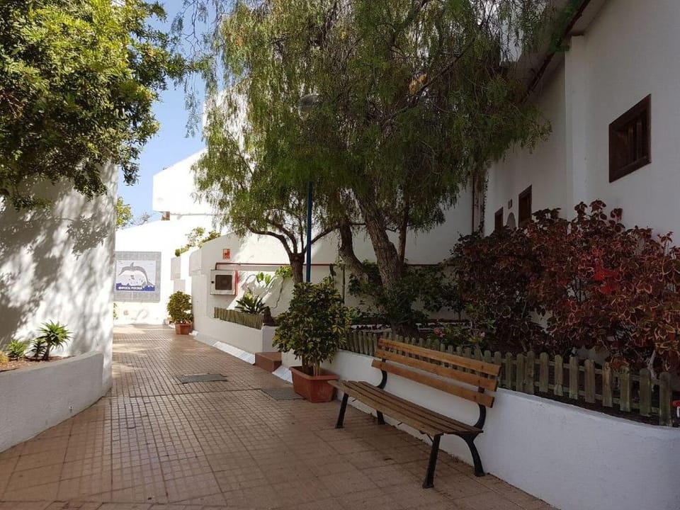 Olympus Apartment in Tenerife Apartment in Costa Adeje