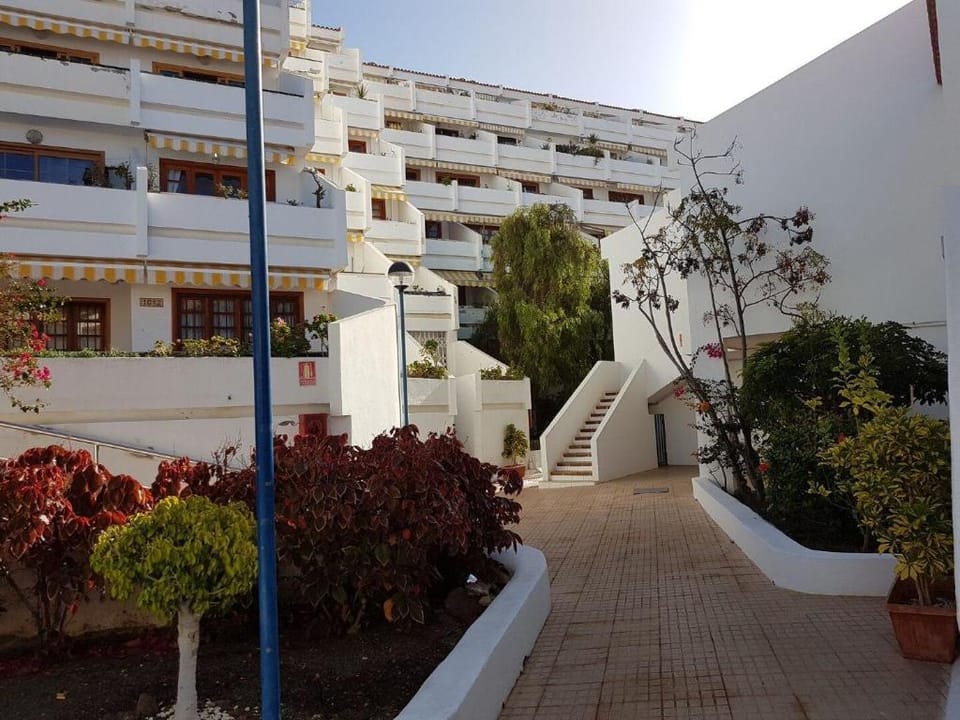 Olympus Apartment in Tenerife Apartment in Costa Adeje