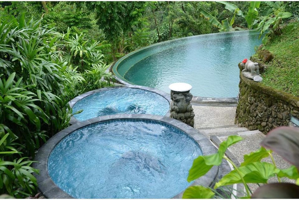 Entire 2 BR Pool Duplex Villa #L268 Villa in Payangan