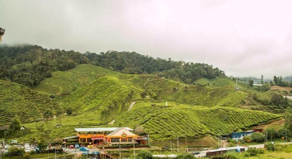 Romantic Sunset View 1 min walk to Tea Plantation Apartment in Cameron Highlands