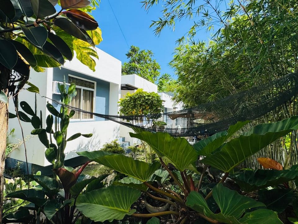 Bohol Emerelle's Tourist Inn Hotel in Central Visayas